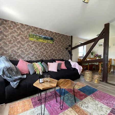 Ferienwohnung-Familienidylle-Im-Vogtland-80Qm Neumark  エクステリア 写真